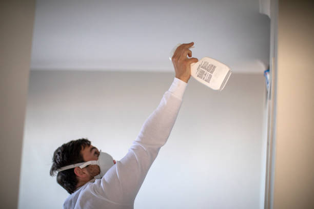 Best Mold Damage Repair  in Dilworth, MN